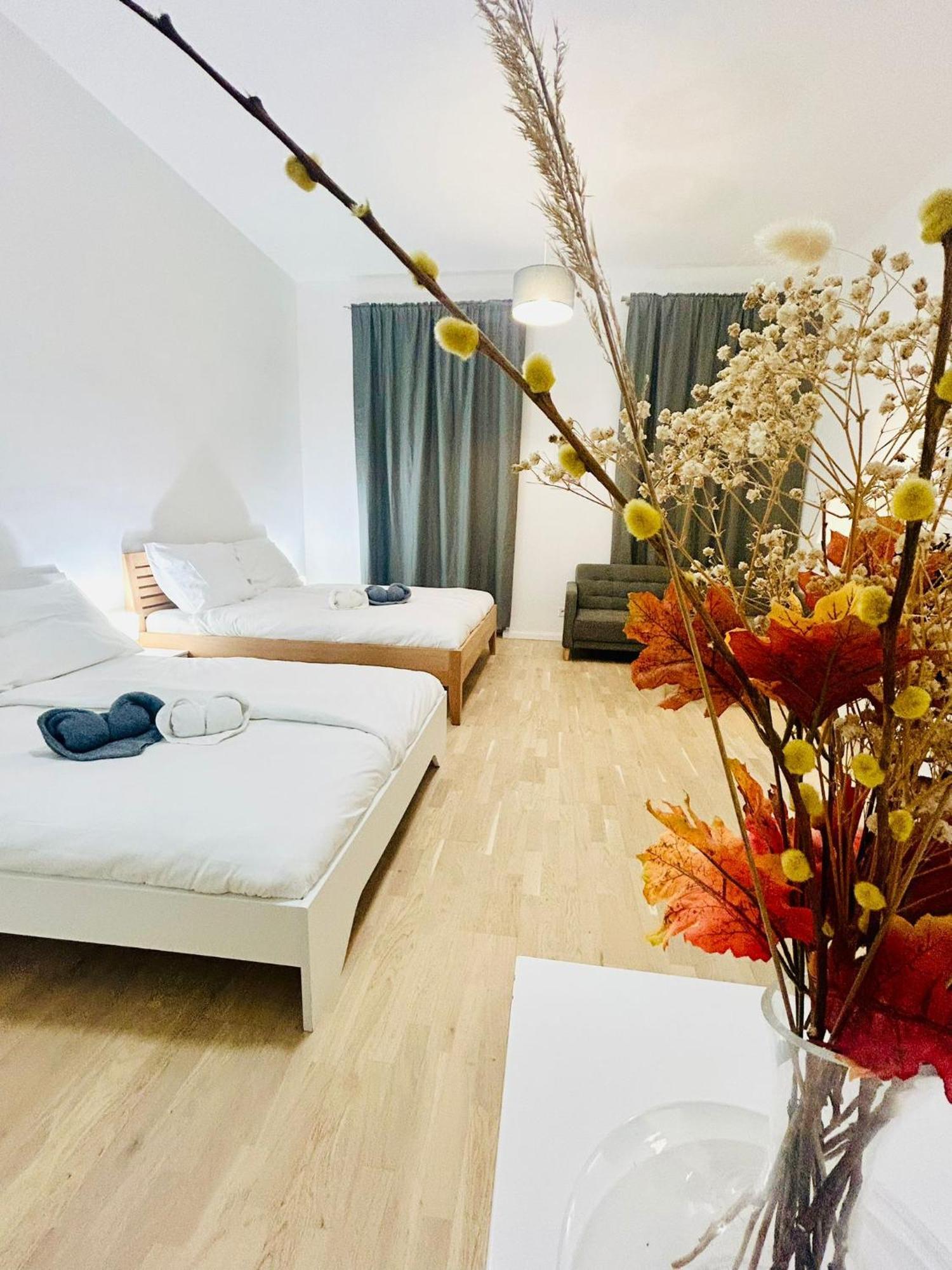 Cozy Design Right Next To Wenceslas Square Daire
